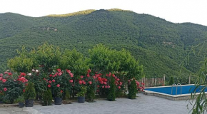 Green garden Կանաչ այգի